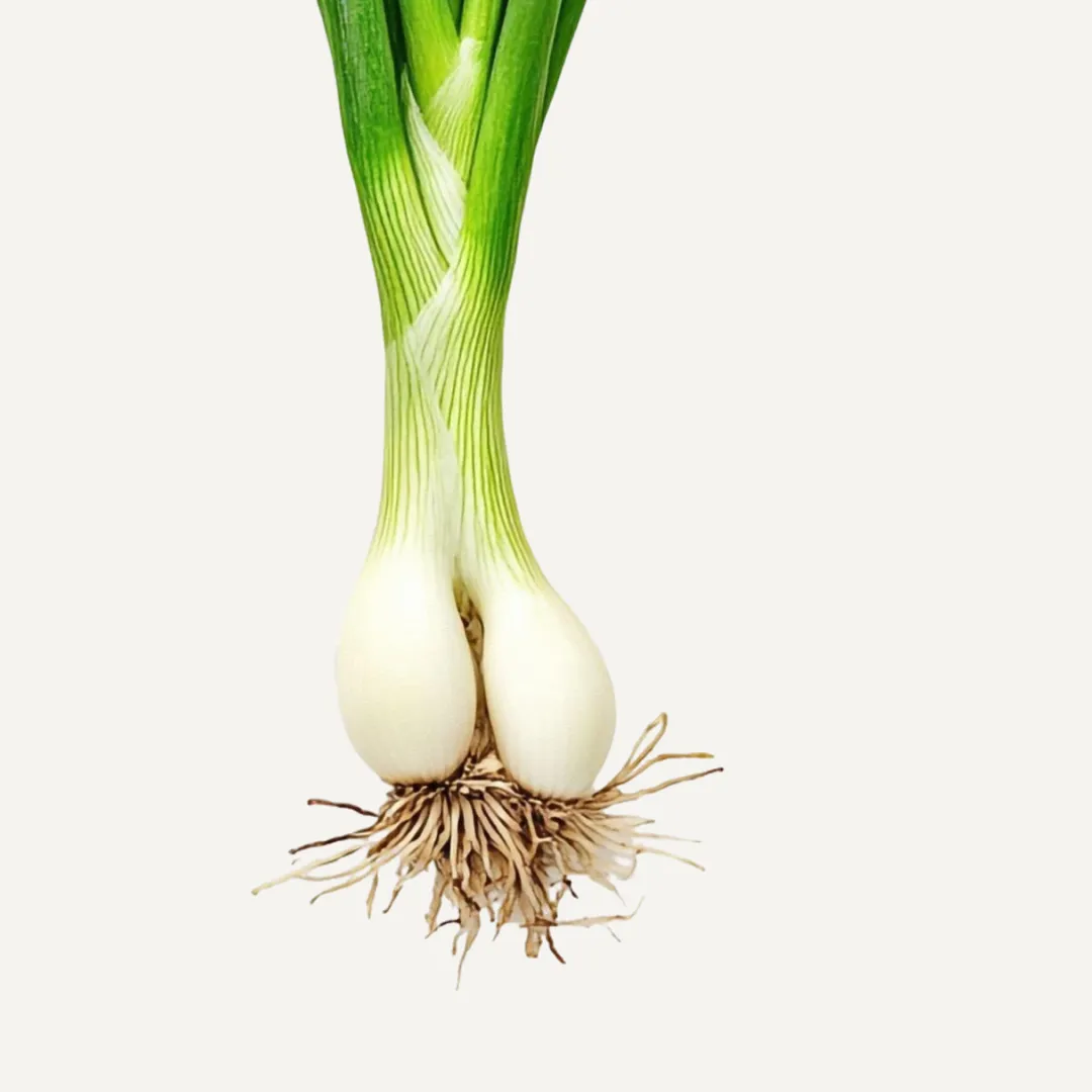 Green Onions - Image 2