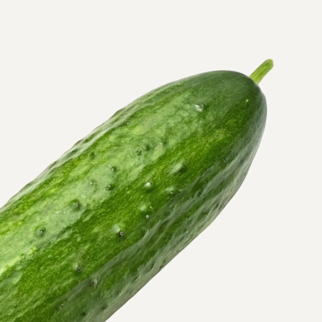Farm Cucumber - Image 2